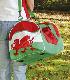 TR72W Sports Bag Wales