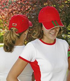 TR61W Baseball Cap Wales